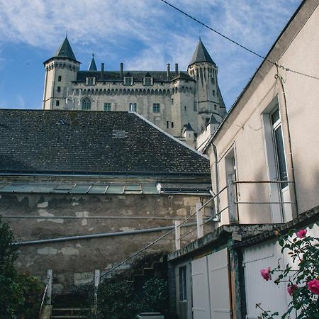 T2 Bedinsaumur Loire Chateau Tout Confort Exterior foto